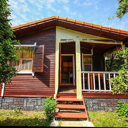 Three Islands Bungalow Çıralı 外观 照片