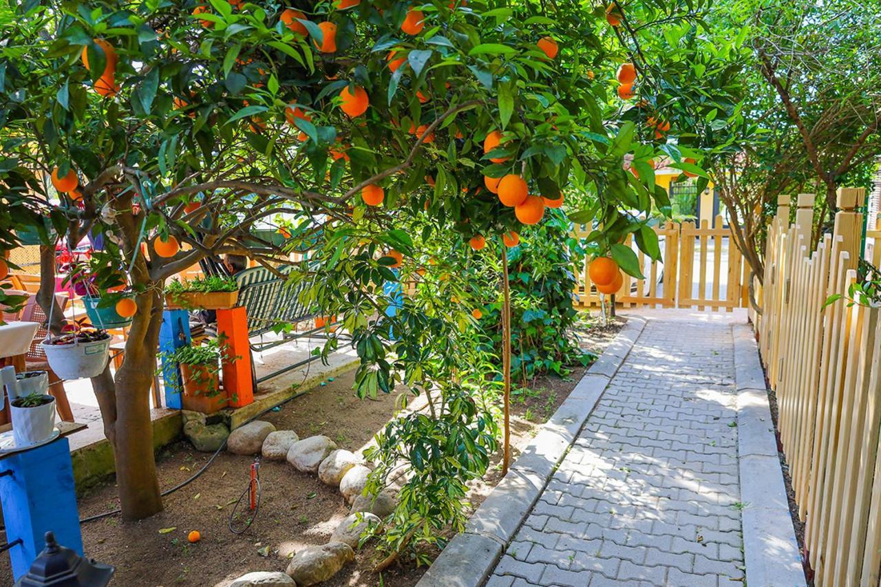 Three Islands Bungalow Çıralı 外观 照片