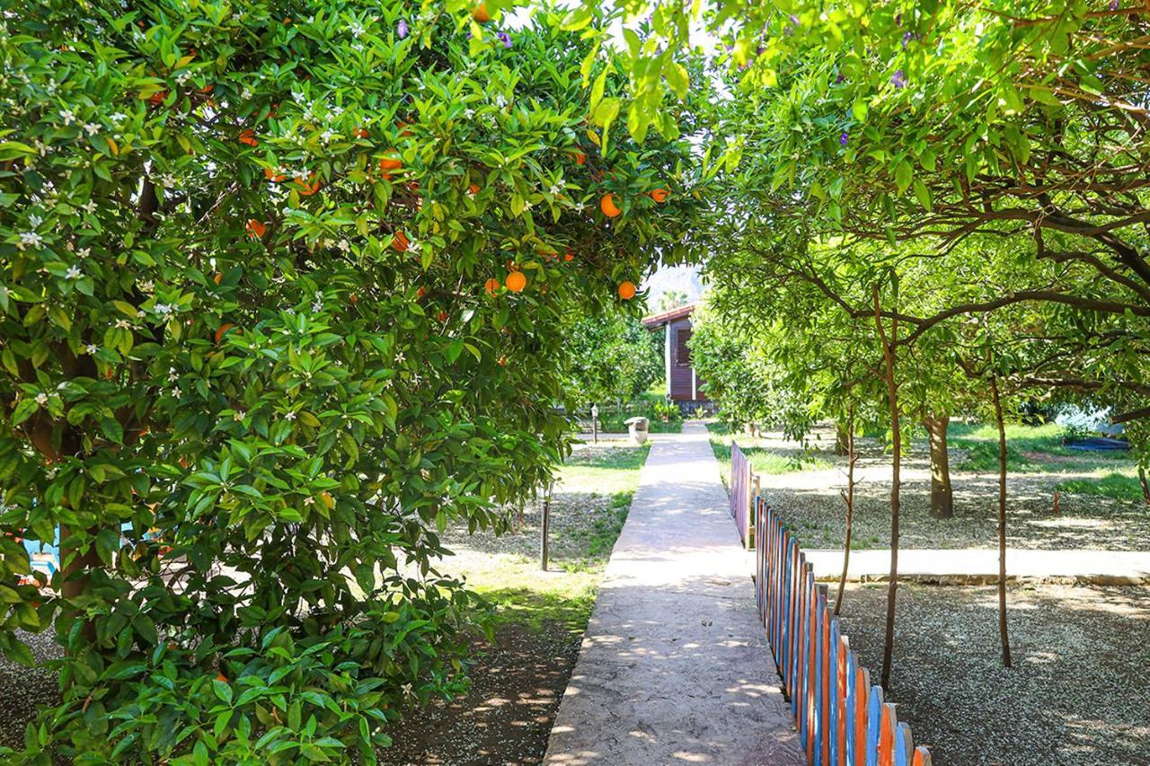 Three Islands Bungalow Çıralı 外观 照片