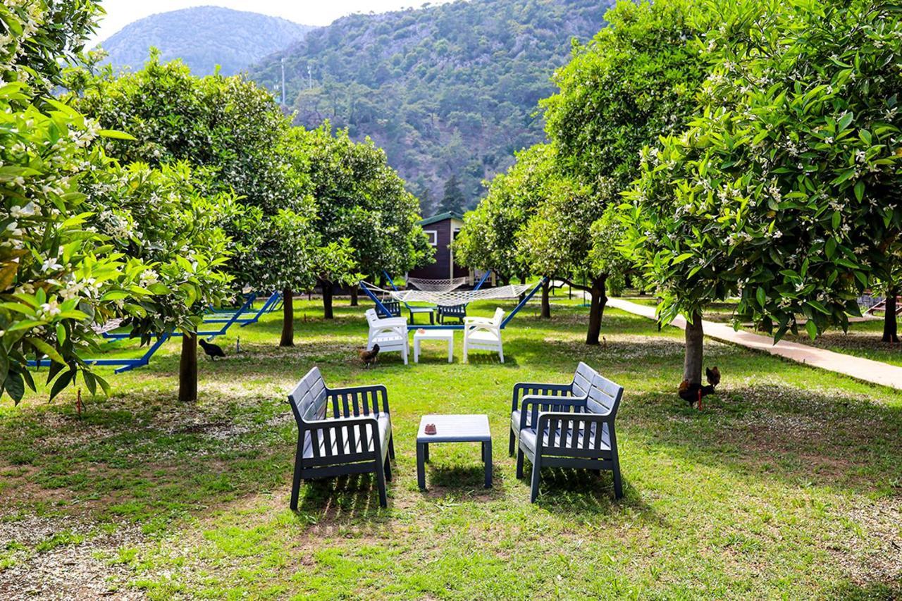 Three Islands Bungalow Çıralı 外观 照片