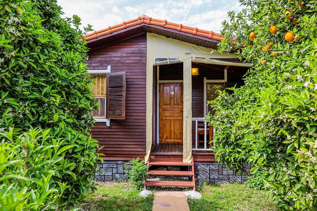 Three Islands Bungalow Çıralı 外观 照片